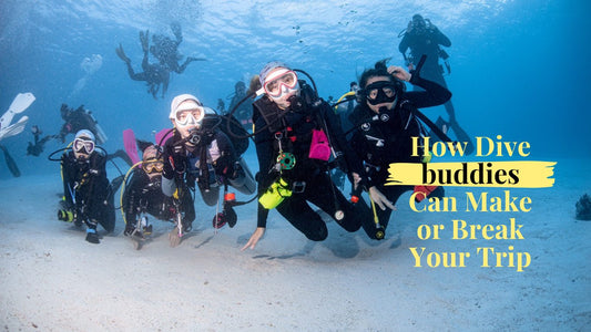 How Dive Buddies Can Make or Break Your Trip