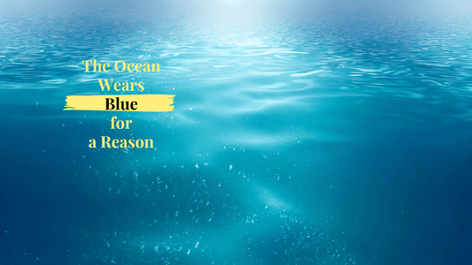 The Ocean Wears Blue for a Reason