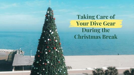 How to Take Care of Your Dive Gear During the Christmas Break