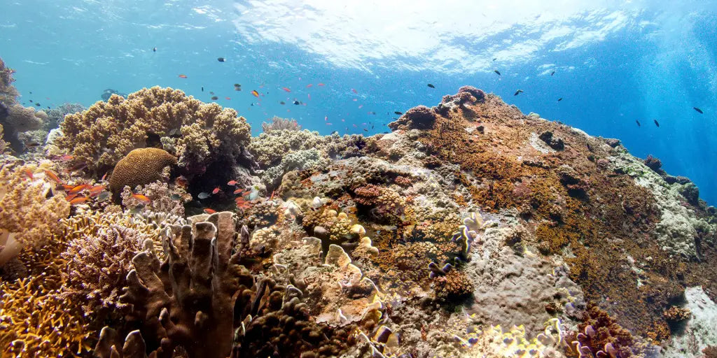 Landlocked and Daydreaming: The Beauty of Missing the Sea
