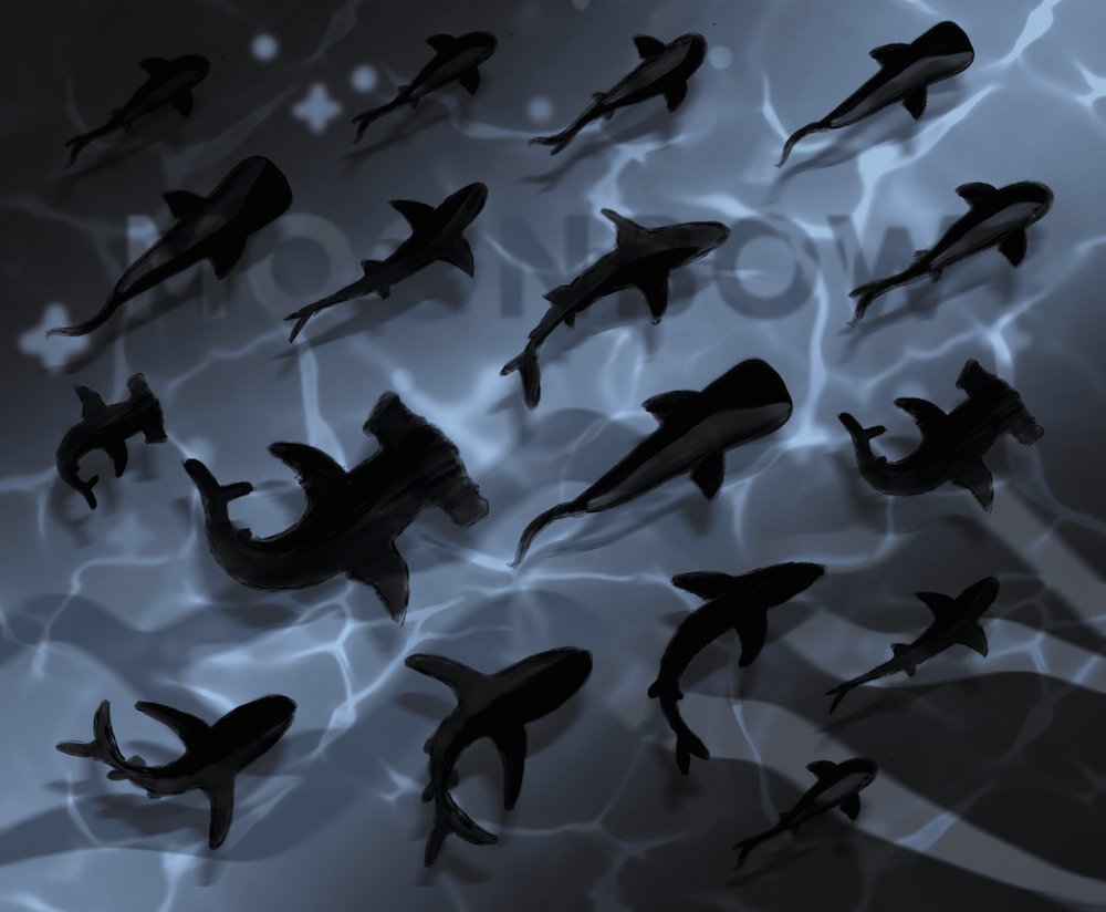Shadow Sharks design
