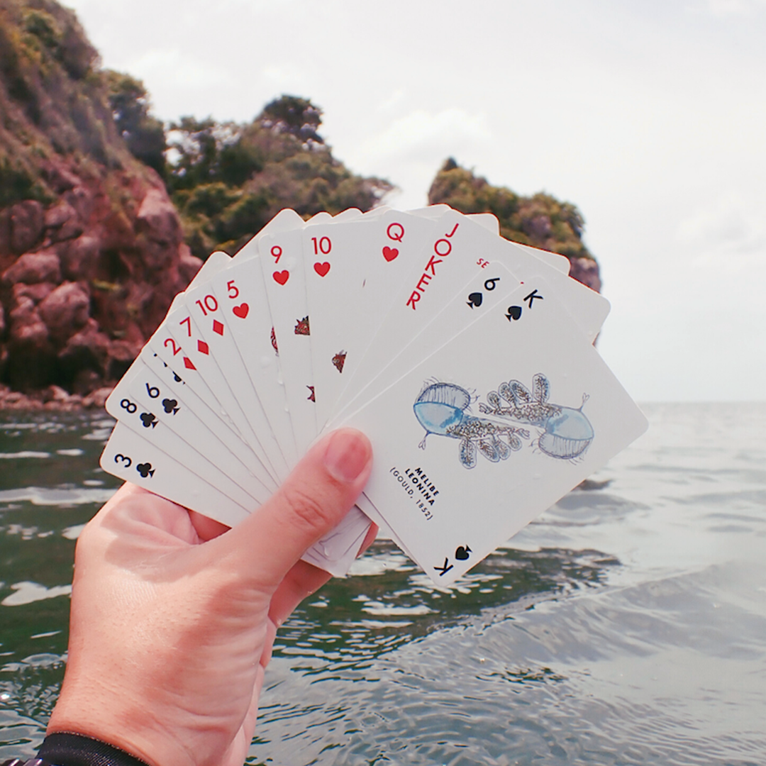 Playing Cards - Sea Slug (Waterproof)