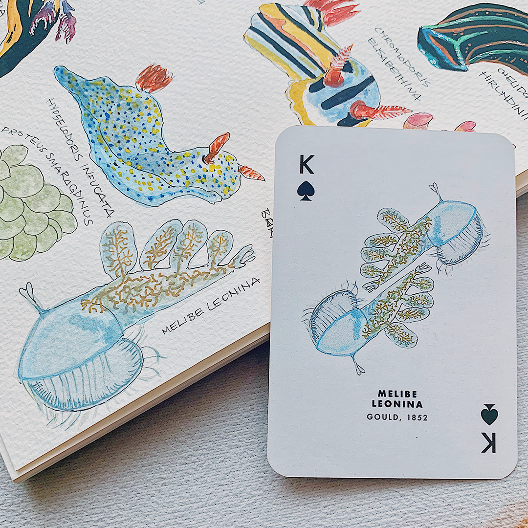 Playing Cards - Sea Slug (Waterproof)