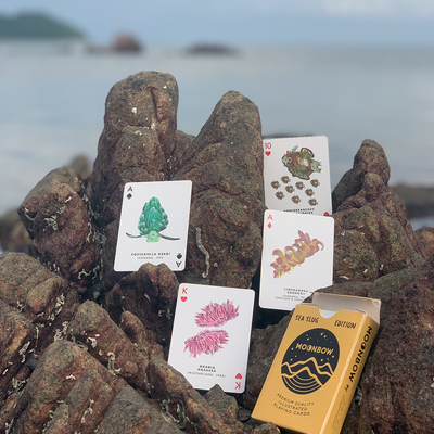 User generated content 2