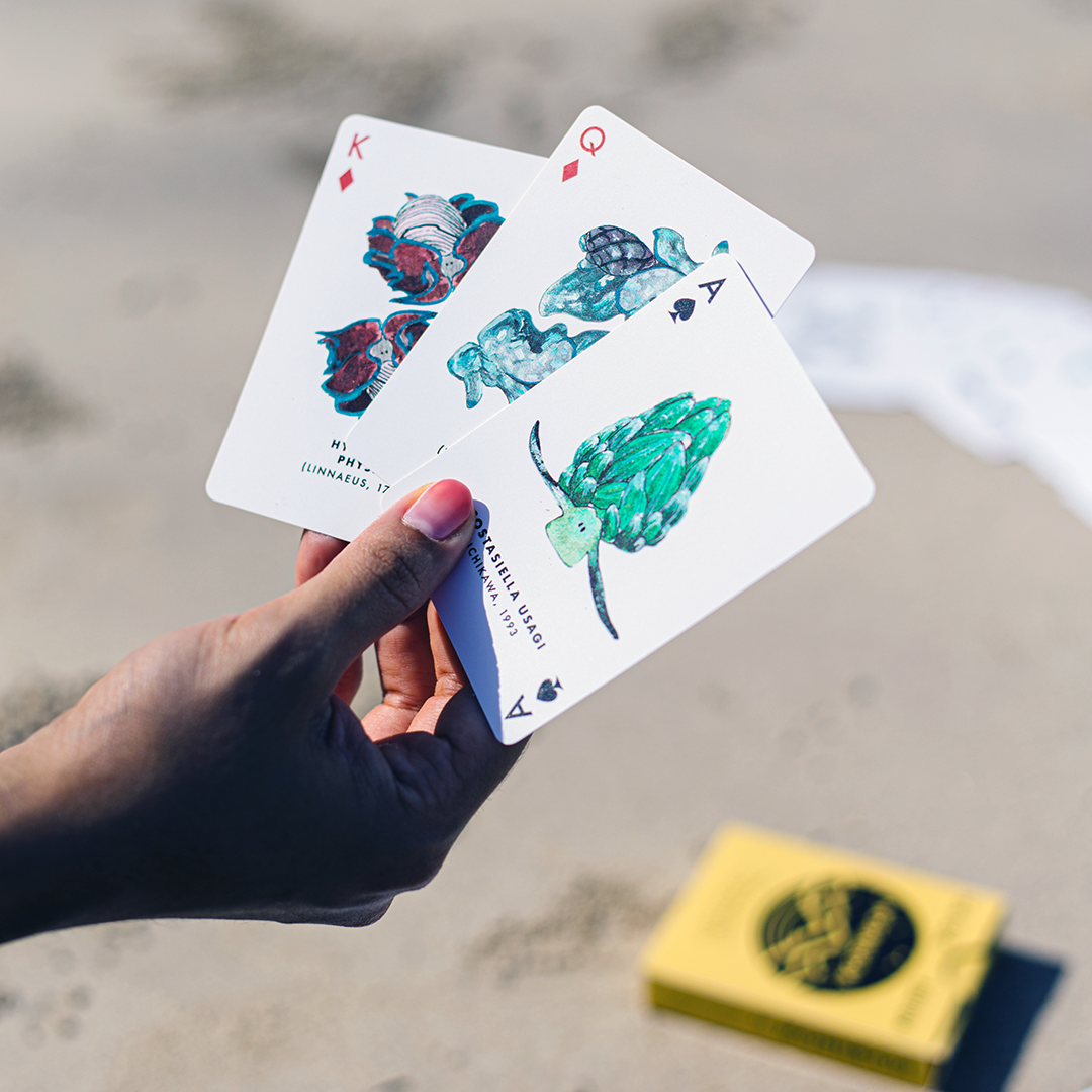 Sea Slug Playing Cards (Waterproof)