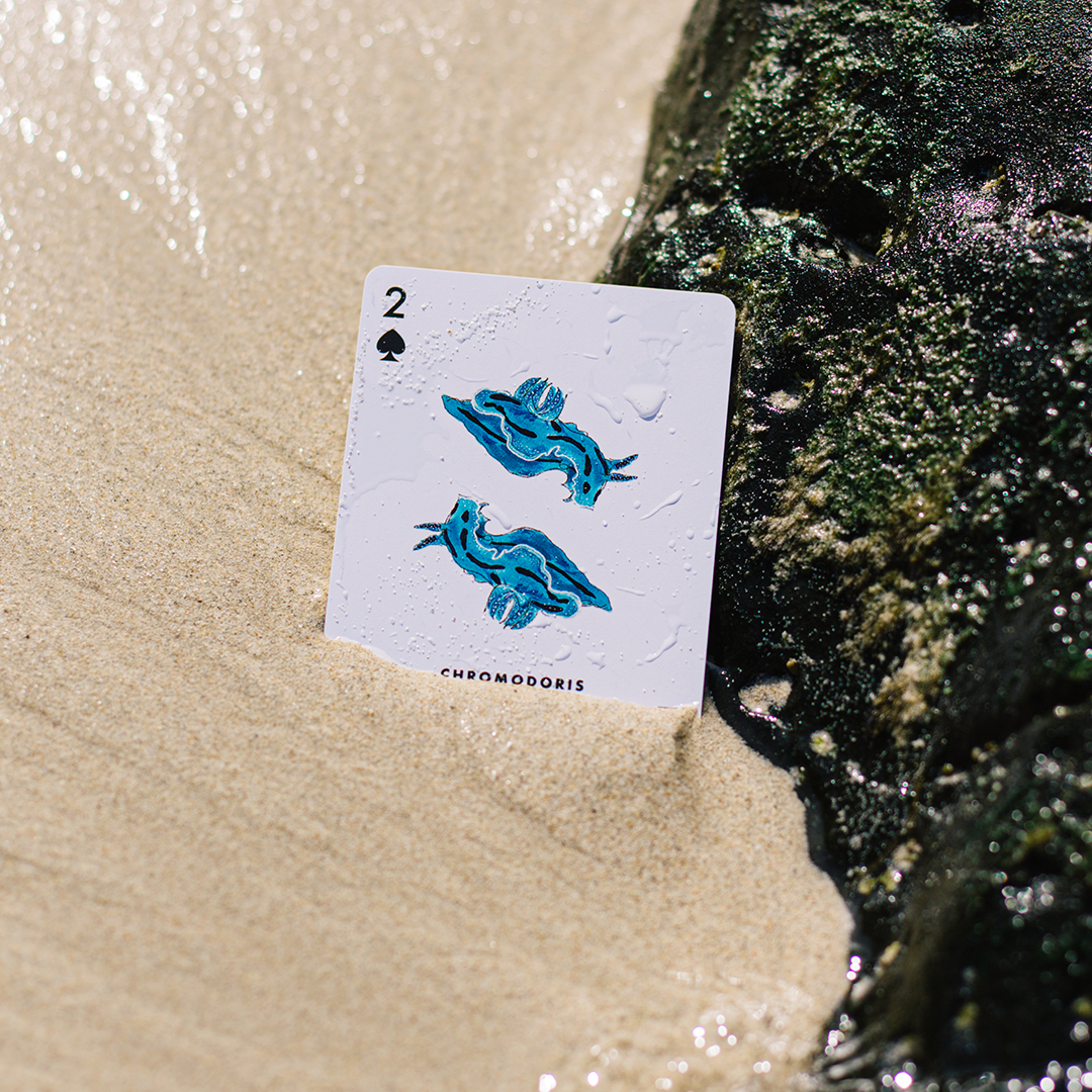 Playing Cards - Sea Slug (Waterproof)