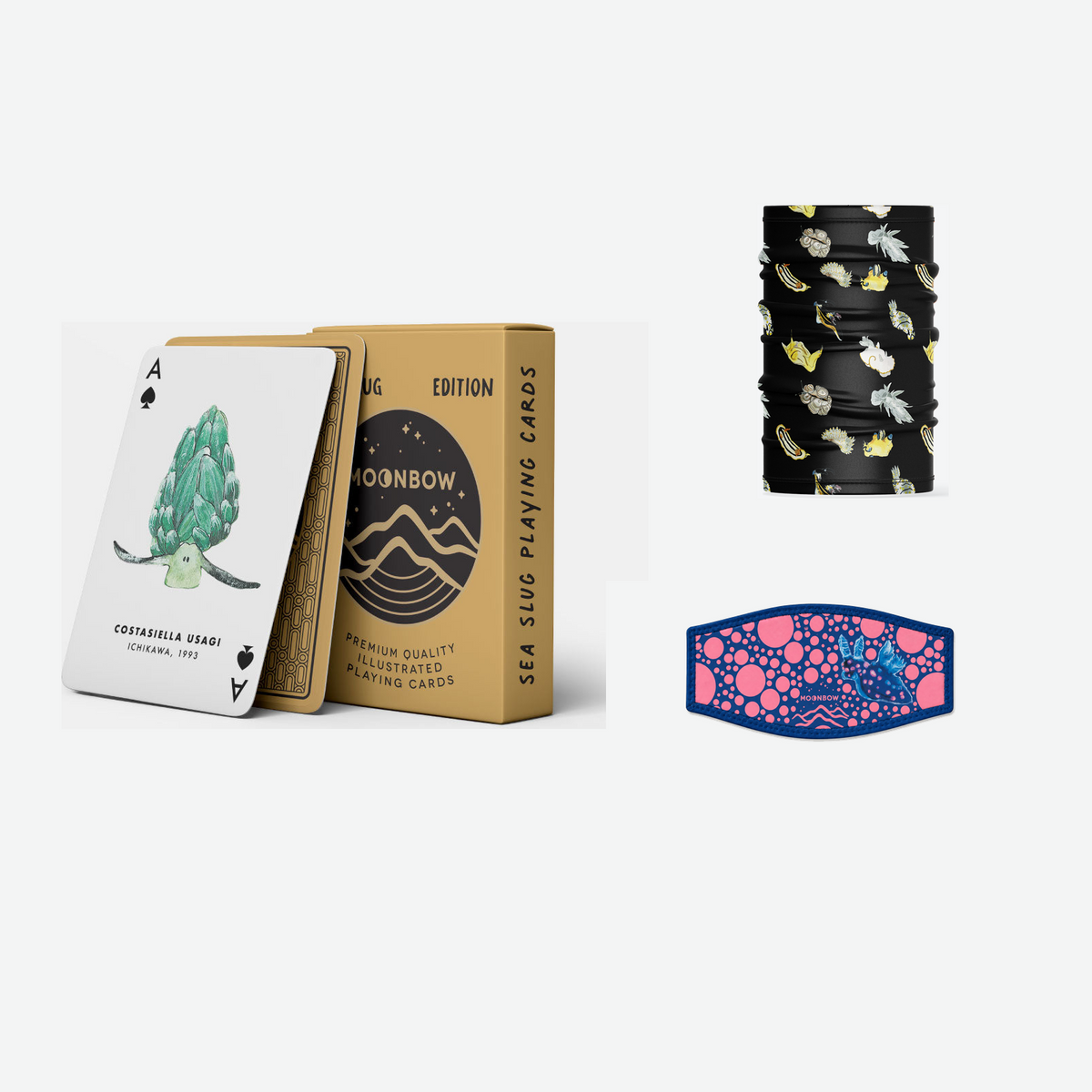 Sea Slug Kit