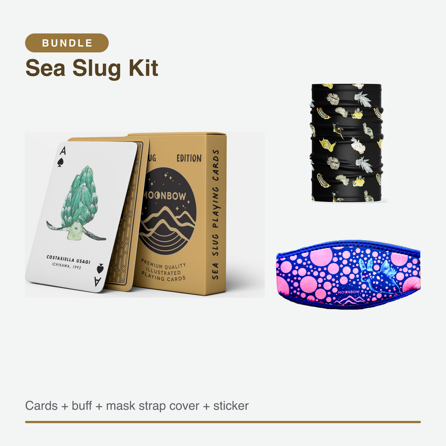 Sea Slug Kit — what is in the box