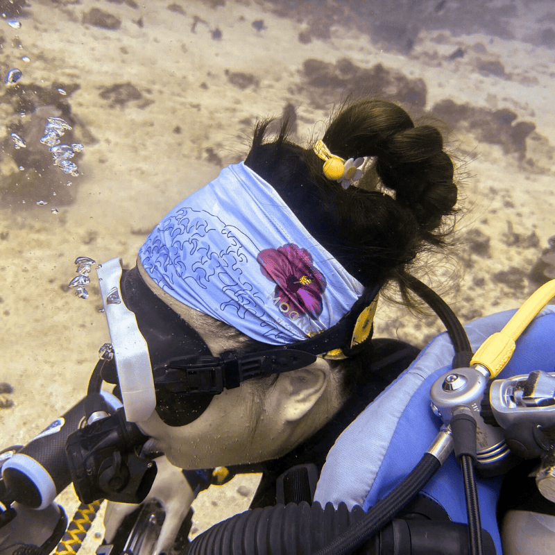Okinawa REPREVE® Buff