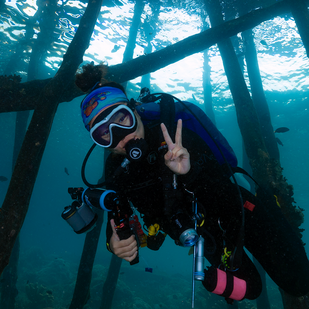 Banda Sea Buff