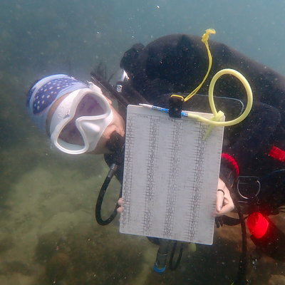 User generated content 3