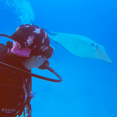 User generated content 1